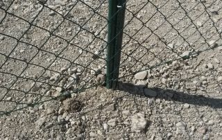 Pletene mrežne ograje_144